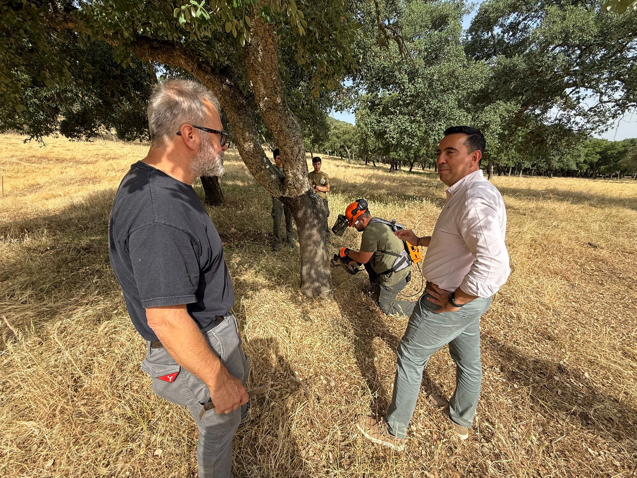 06-110625 SAN ANTONIO DESCORCHE 1