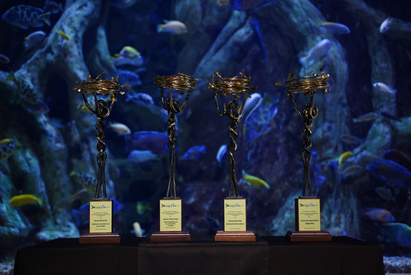 FOTO Premios RSES
