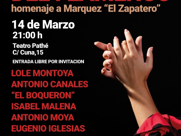 02-270225 HISTORIA VIVA FLAMENCO CARTEL