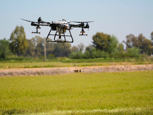 11-031125 Foto DRON TRATAMIENTOS VNO