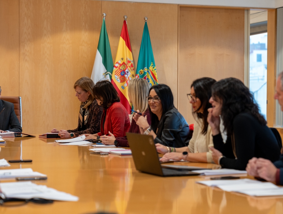 Pleno Junta de Gobierno Diputación de Sevilla