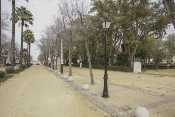 Renovación alumbrado público parque y varias calles