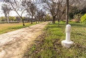 Reposición de luminarias en el parque urbano de marinaleda