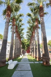 Remodelación de la plaza del ayuntamiento
