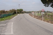 Obra de mejora de tramo de camino rural villamanrique de la condesa-isla mayor