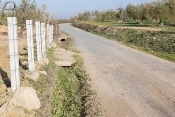 Mejora de firmes, cunetas y accesos a fincas colindantes de caminos vecinales
