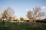 Mejoras en parque federico garcía lorca